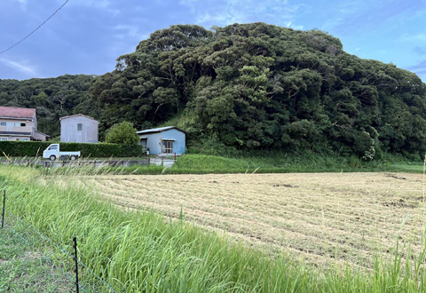 稲刈り終了